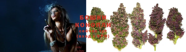 ГАЛЛЮЦИНОГЕННЫЕ ГРИБЫ Няндома