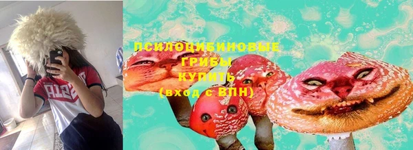 герыч Алексин